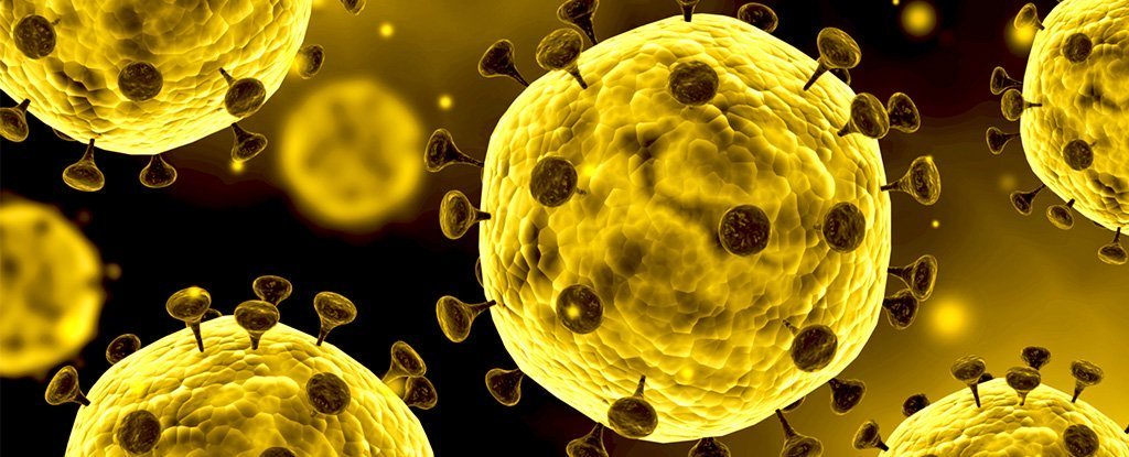 बाजुरा सहित १५ जिल्लामा कोरोनाका सक्रिय संक्रमित शून्य