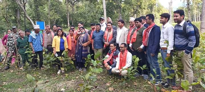 वैज्ञानिक बन अनुगमनको  सुझाव प्रतिबेदन सार्बजनिक