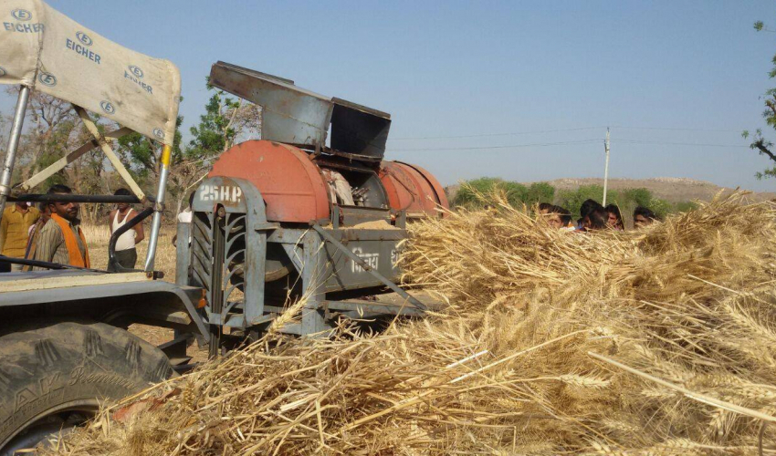 थ्रेसरको पट्टामा बेरिएर एक जनाको मृत्यु