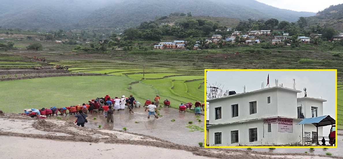 केआईसिंह गाउँपालिका विशेषाङ्क