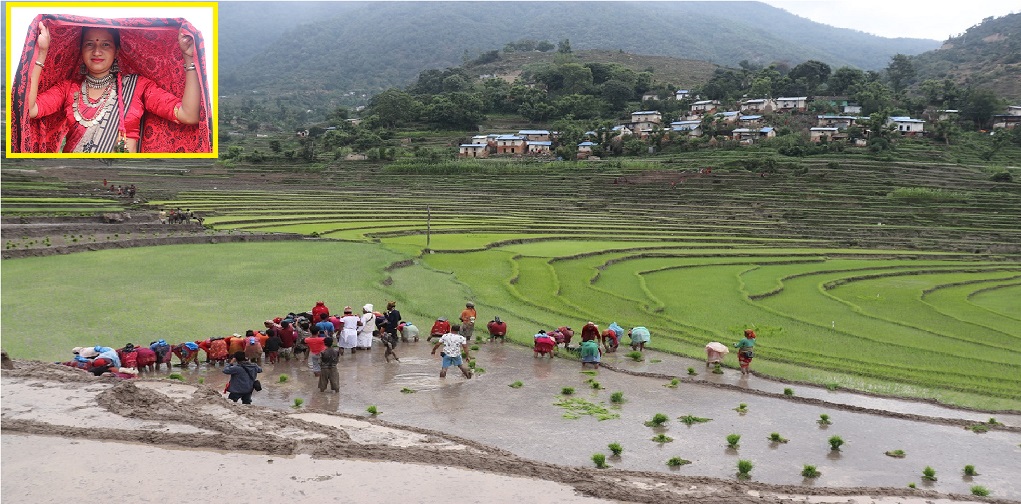 पर्यटकीय संभावना भएको ठाउँ- केआई सिंहको गाउँ