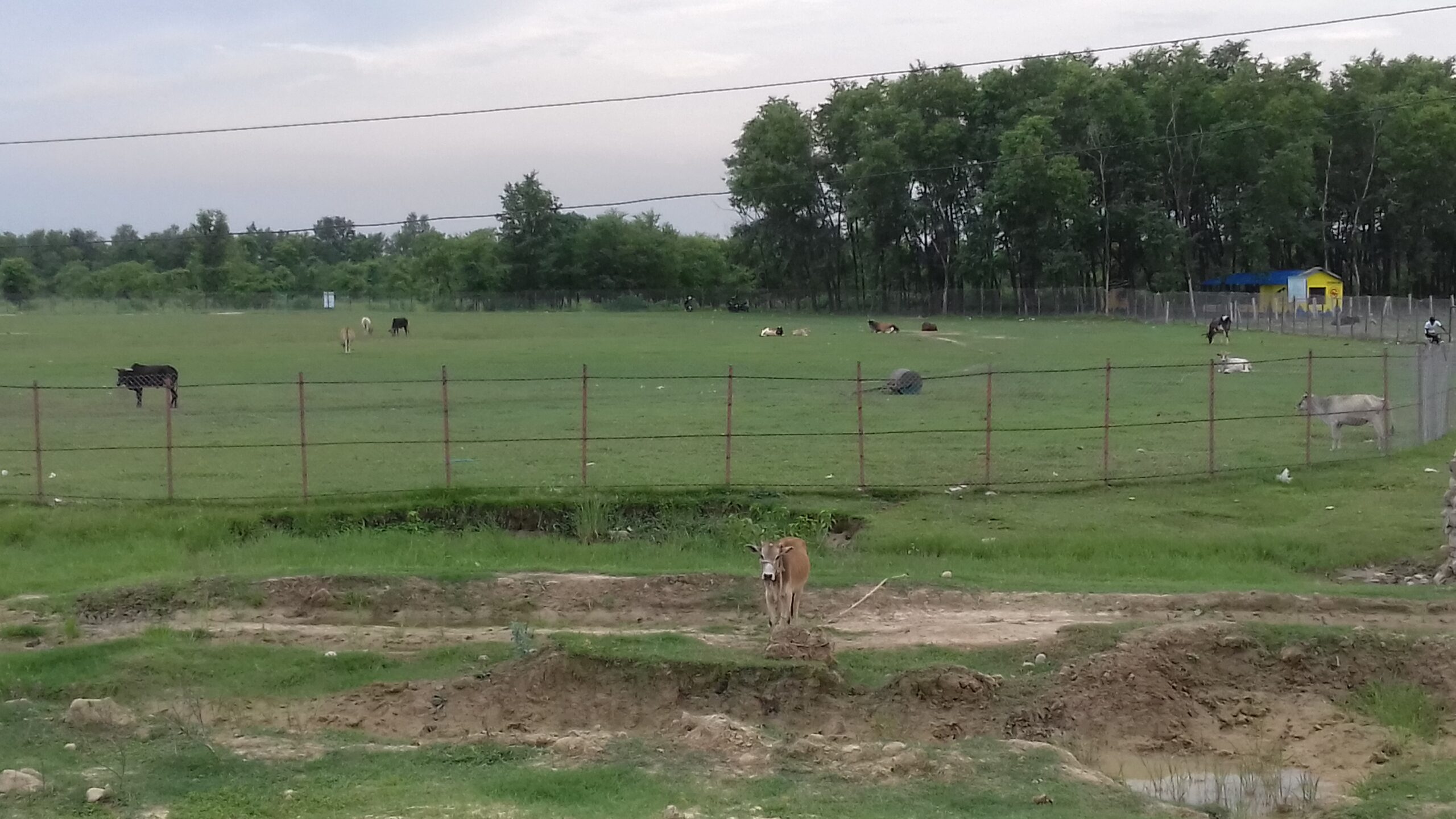 धनगढीको फाप्ला क्रिकेट मैदानलाई खेलग्राम बनाउने सरकारको निर्णय