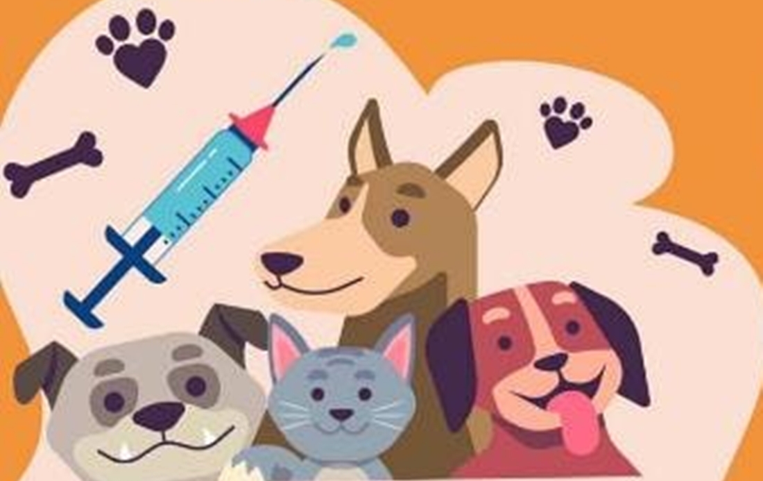 कैलाली र कञ्चनपुरका पशुमा बढ्यो रेबिजको सङ्क्रमण