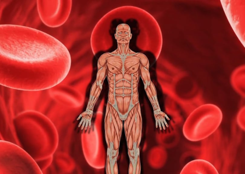 ‘सिकलसेल’ रोगको जोखिम, निःशुल्क परीक्षण शिविर सञ्चालन