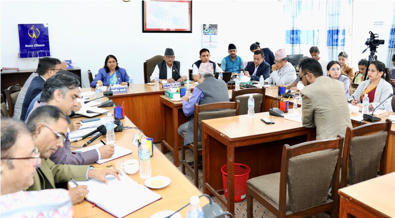 आसयपत्र पाएका २२ नर्सिङ कलेजलाई सम्बन्धन दिन संसदीय समितिको निर्देशन
