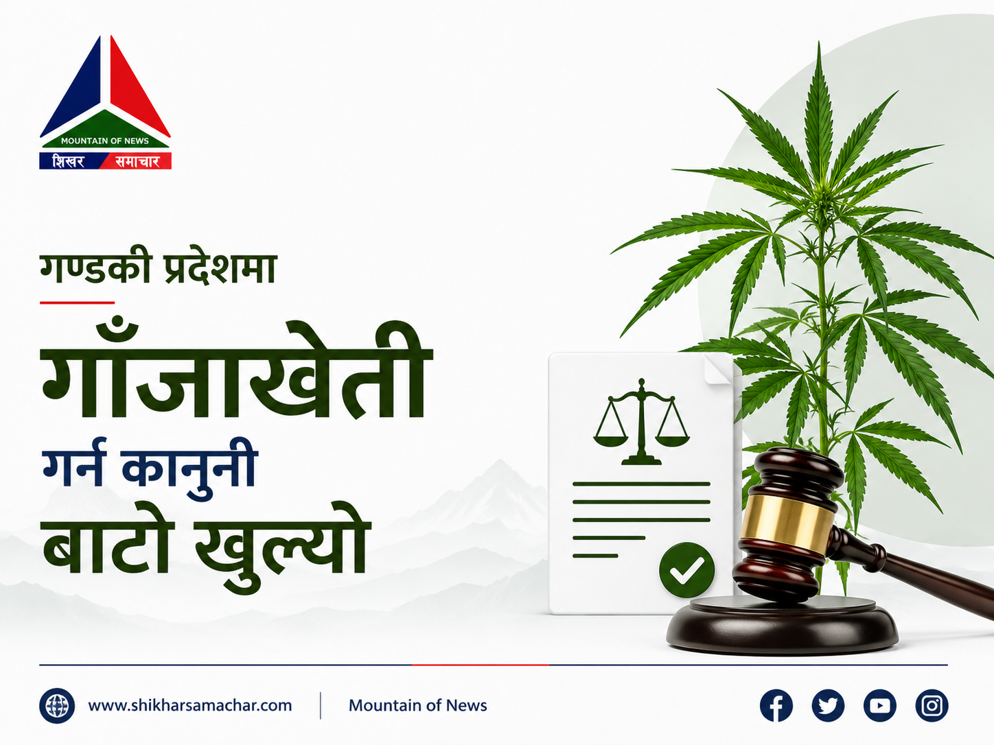 गण्डकी प्रदेशमा औषधिजन्य र औद्योगिक प्रयोजनका लागि गाँजाखेती गर्न कानुनी बाटो खुल्यो